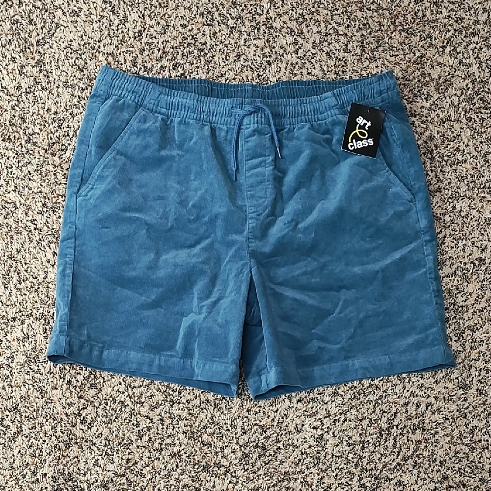 Art Class | Boys Blue Courduroy Shorts